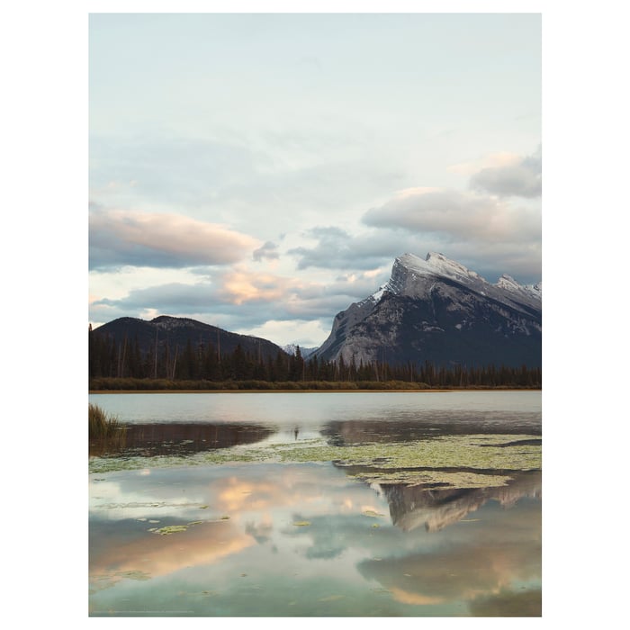 Posters Art Prints IKEA