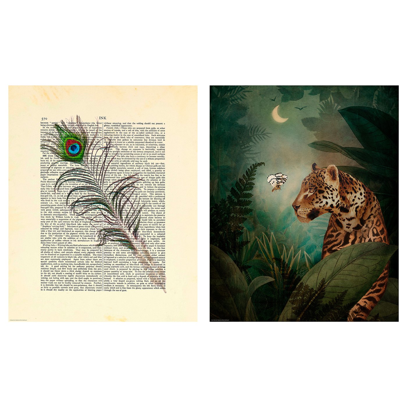 BILD Poster, in the jungle , 40x50 cm IKEA