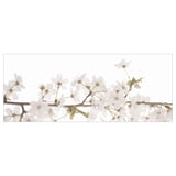 BJÖRKSTA Picture, white flowers, 140x56 cm