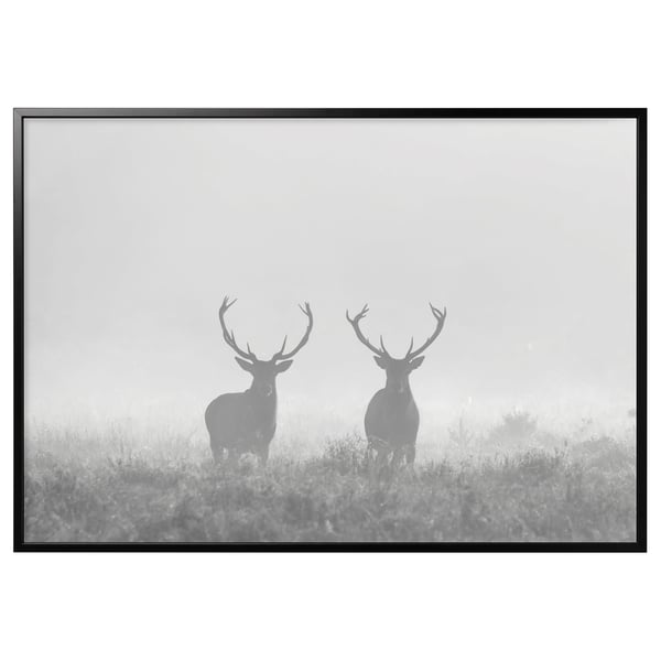 BJÖRKSTA Picture with frame, Deers in fog/black, 200x140 cm