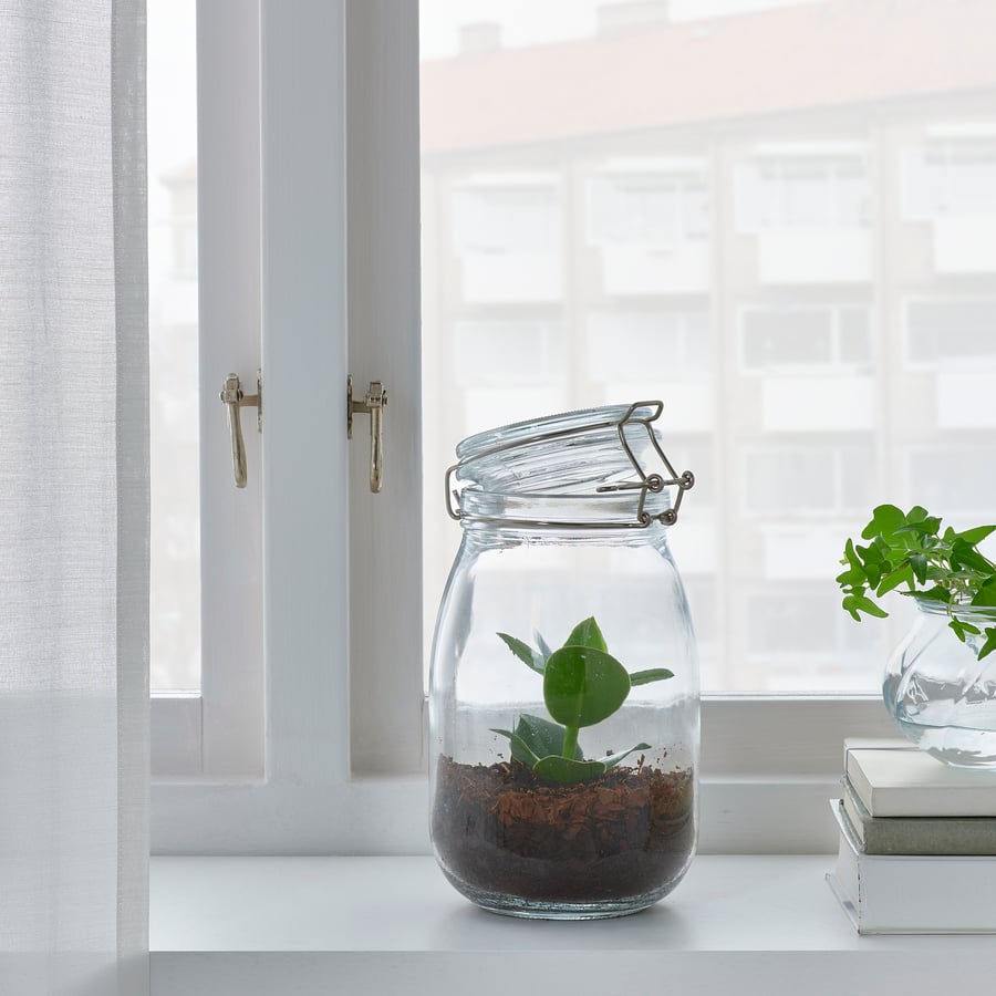 BLADVERK Plant terrarium, jar, assorted, 1.8 l IKEA
