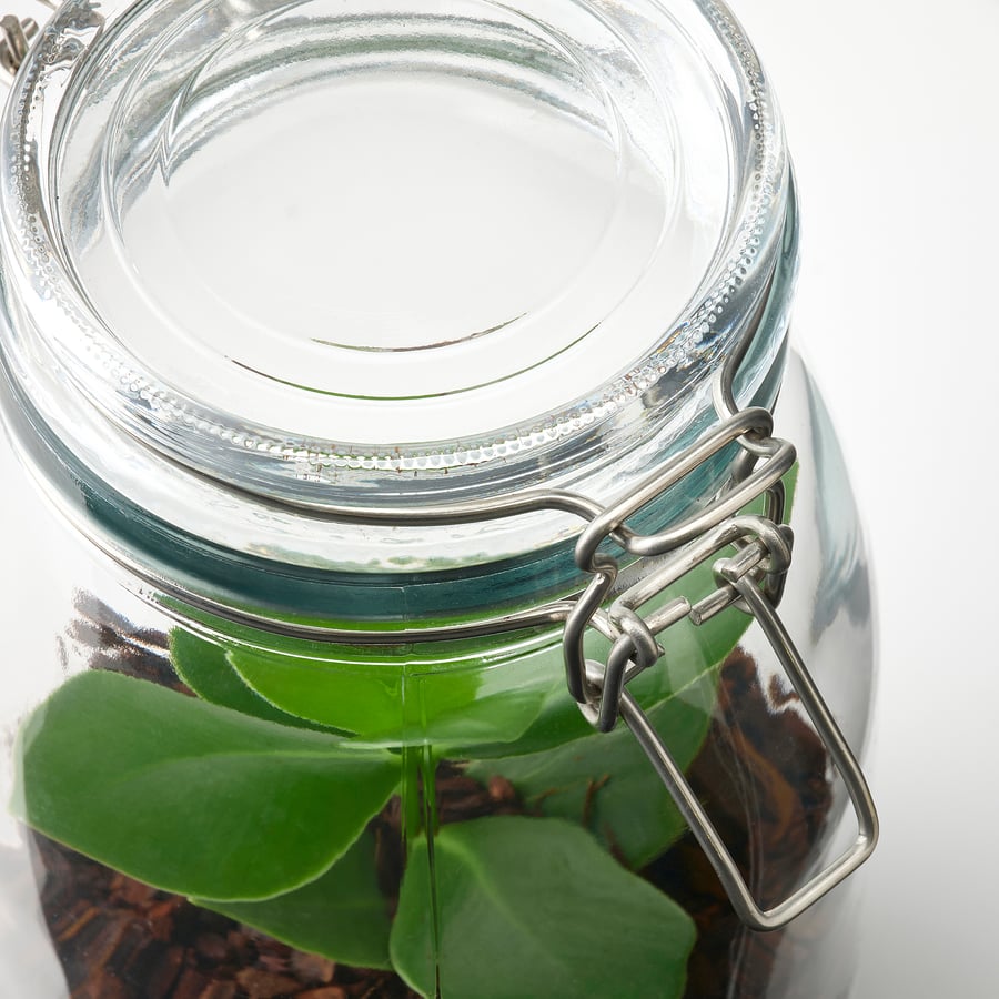 BLADVERK Plant terrarium, jar, assorted, 1.8 l IKEA