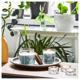 BUKETTAPEL Scented candle/glass w lid/2 wicks, bergamot & cedarwood/pale green, 70 hr