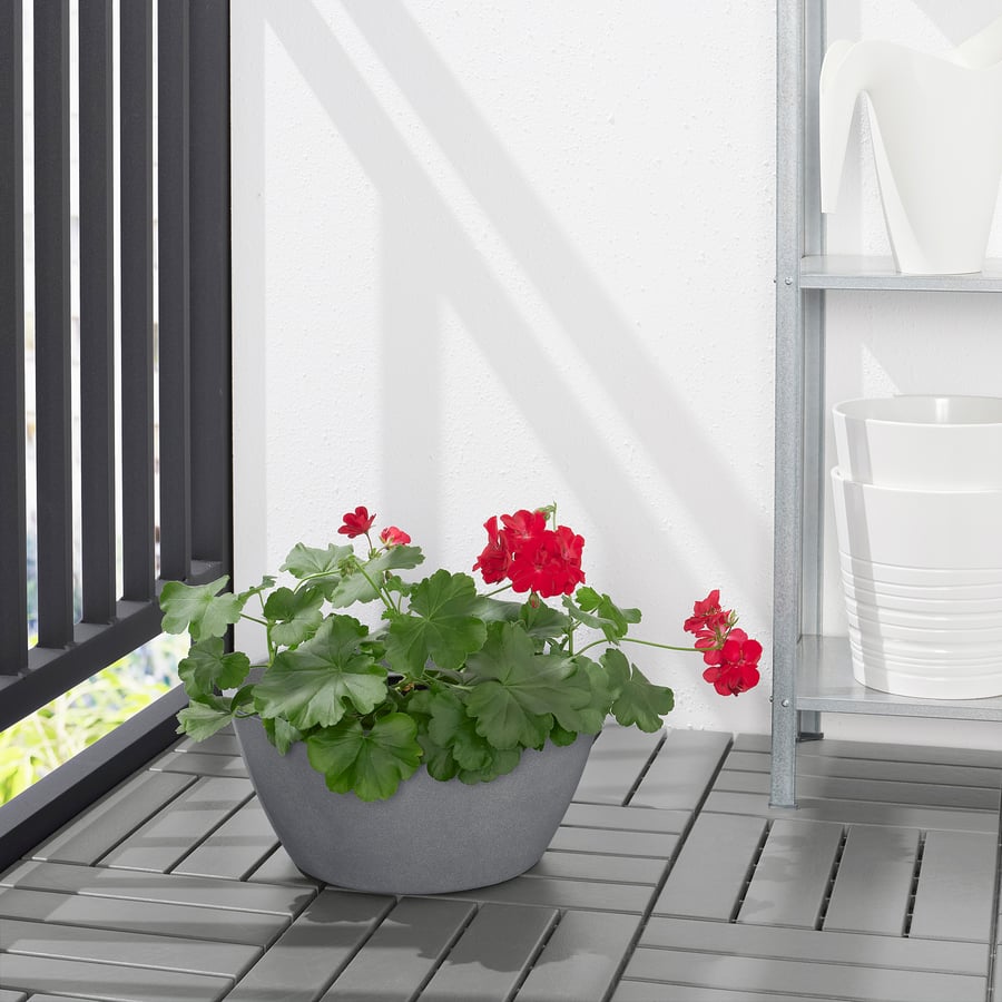 CITRUSKRYDDA Plant pot, in/outdoor grey, 33 cm IKEA