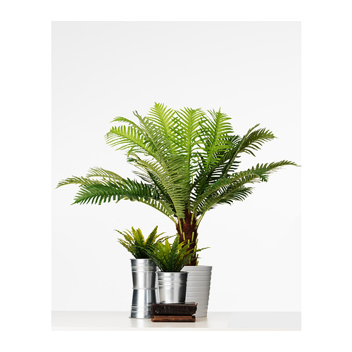 FEJKA Artificial potted plant Fern palm 17 cm IKEA