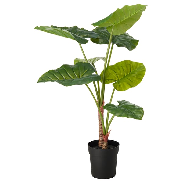 FEJKA Artificial potted plant, in/outdoor Alocasia, 19 cm