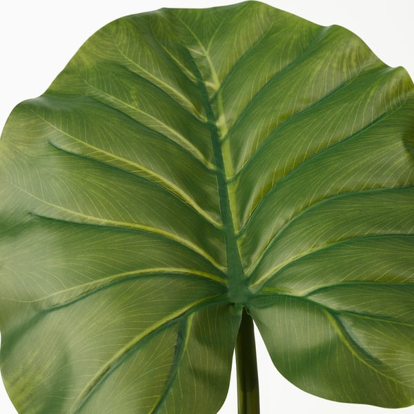 FEJKA Artificial potted plant, in/outdoor Alocasia, 19 cm