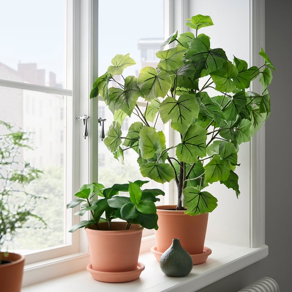 Pink terracotta plants & fern by window, urban view. 149 characters