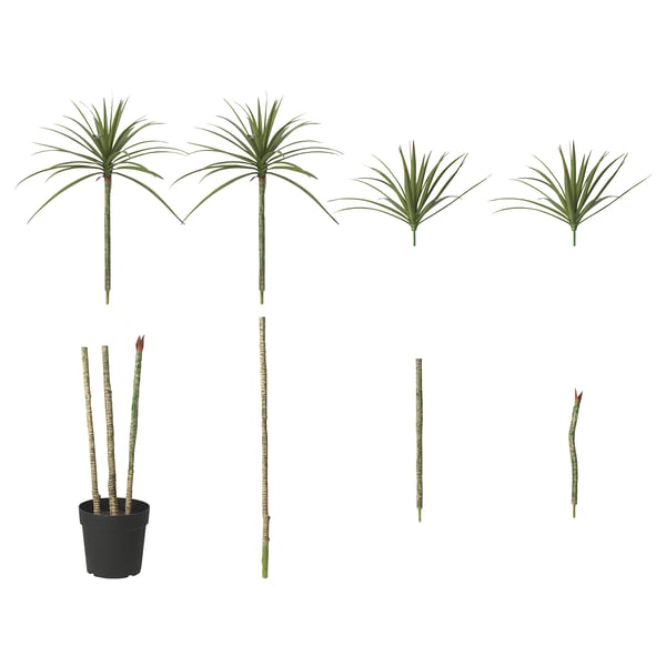 FEJKA Artificial potted plant, in/outdoor Dracena, 23 cm