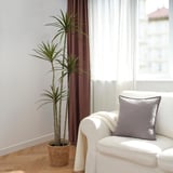 FEJKA Artificial potted plant, in/outdoor Dracena, 23 cm
