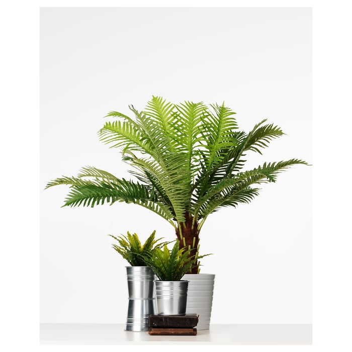FEJKA artificial potted plant, in/outdoor Fern palm, 17 cm IKEA