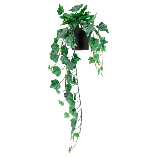 FEJKA plant, in/outdoor/hanging Ivy, 12 - IKEA