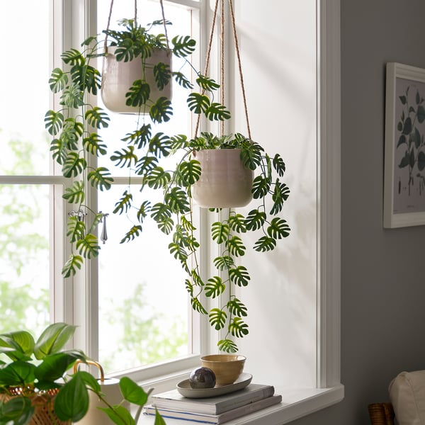 FEJKA Artificial potted plant, in/outdoor hanging/Monstera, 9 cm