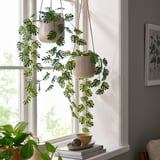 FEJKA Artificial potted plant, in/outdoor hanging/Monstera, 9 cm