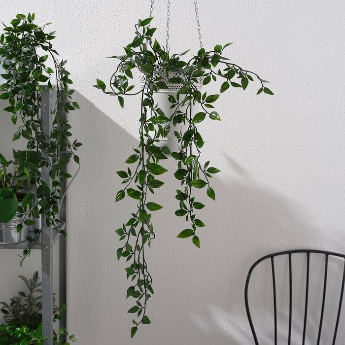 FEJKA artificial potted plant, in/outdoor/hanging, 9 cm IKEA