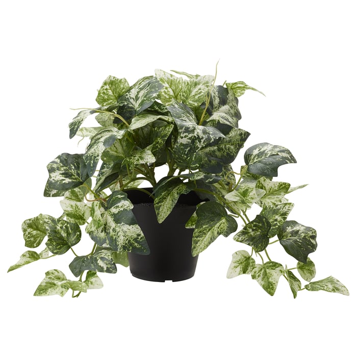 FEJKA Artificial potted plant, Ivy, 12 cm IKEA