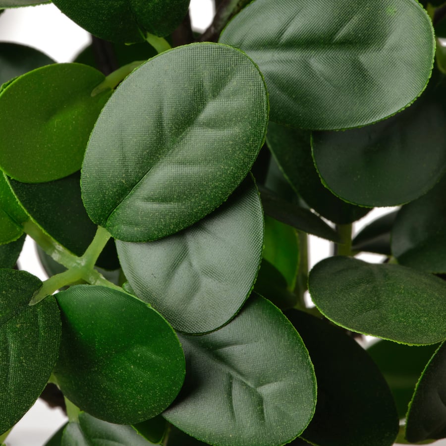 FEJKA artificial potted plant with pot, in/outdoor bonsai, 16 cm IKEA