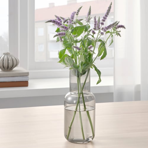 Vases Glass Vases Flower Vases IKEA