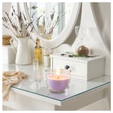 GOLIATTUJA Scented candle in glass, Lavender bliss/purple, 20 hr