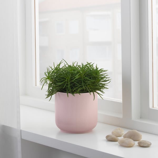 Gradvis Pink Plant Pot Ikea