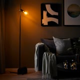 HÅRSLINGA / LUNNOM Floor lamp with light bulb, black/clear glass