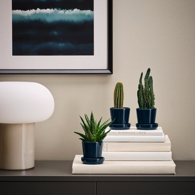 KLOTLÖNN Plant pot with saucer, in/outdoor/black-blue, 6 cm