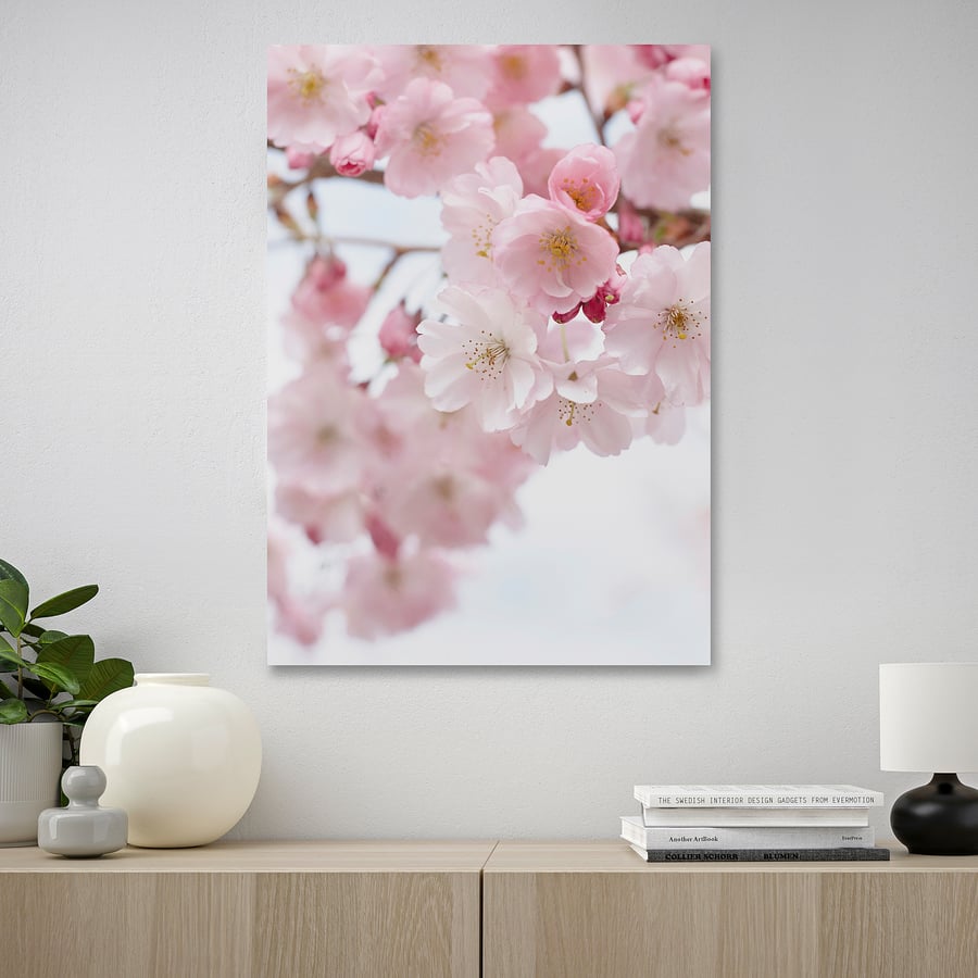 PJÄTTERYD picture, cherry blossom/pink, 50x70 cm - IKEA UK