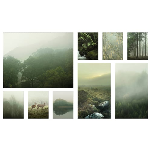 PJÄTTERYD Picture, set of 9 - Mist in the forest 179x112 cm