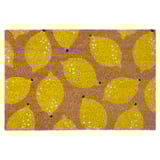 RENKAVLE Door mat, lemon, 40x60 cm