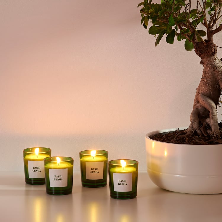 RINGLAD Scented candle in glass, Basil/green IKEA