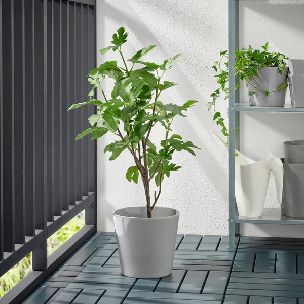 SKOGSVINBÄR Plant pot, in/outdoor grey, 19 cm