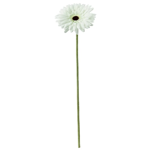 SMYCKA artificial flower, Gerbera/white, 50 cm IKEA