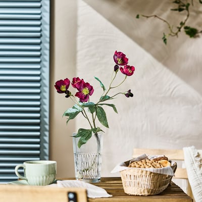 SMYCKA Artificial flower, in/outdoor Christmas rose, 50 cm