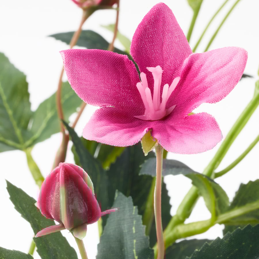 SMYCKA Pasqueflower, pink, Artificial flower IKEA