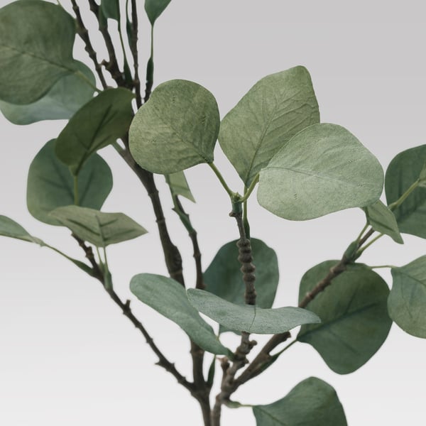 SMYCKA Artificial leaf, eucalyptus/green, 65 cm