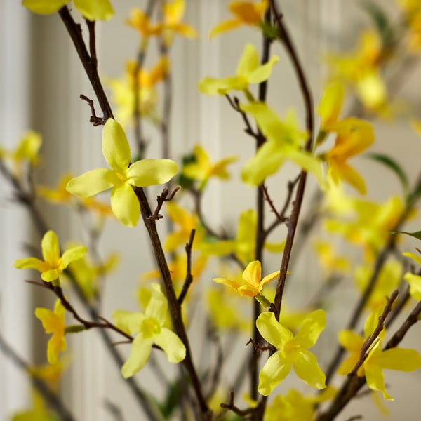 SMYCKA Artificial spray, in/outdoor/forsythia yellow, 70 cm