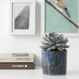 ULLSYREN Plant pot, dotted blue, 12 cm