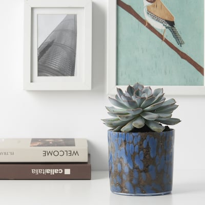 ULLSYREN Plant pot, dotted blue, 12 cm