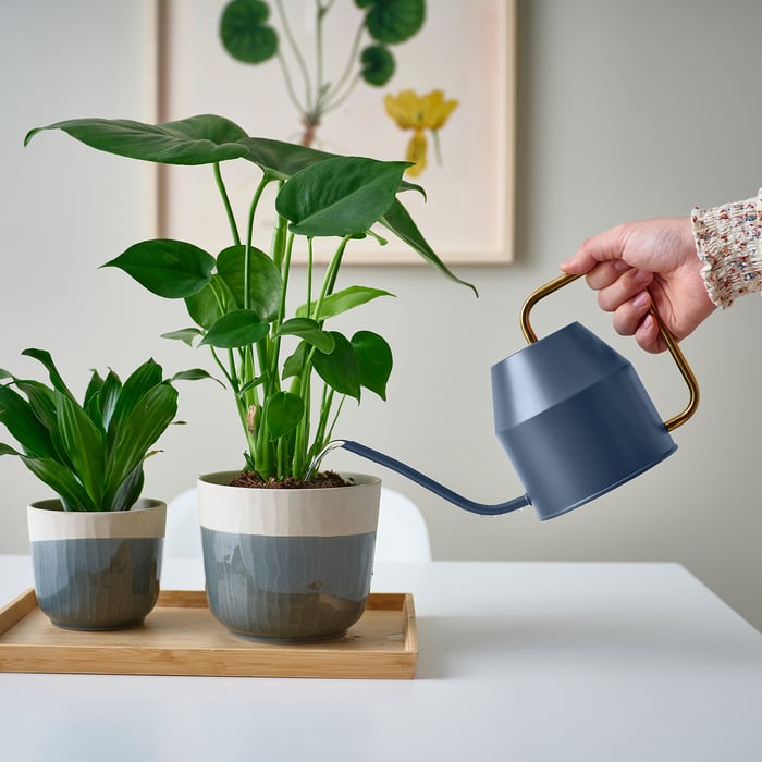 VATTENKRASSE Watering can, dark blue/goldcolour, 0.9 l IKEA