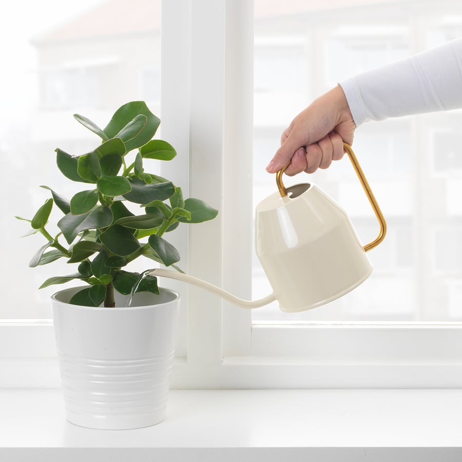 VATTENKRASSE watering can, ivory/goldcolour, 0.9 l IKEA