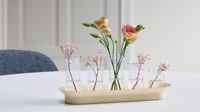 Growing accessories