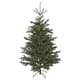 Christmas trees & plants
