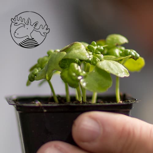 Speciální škudlíkovy dílničky