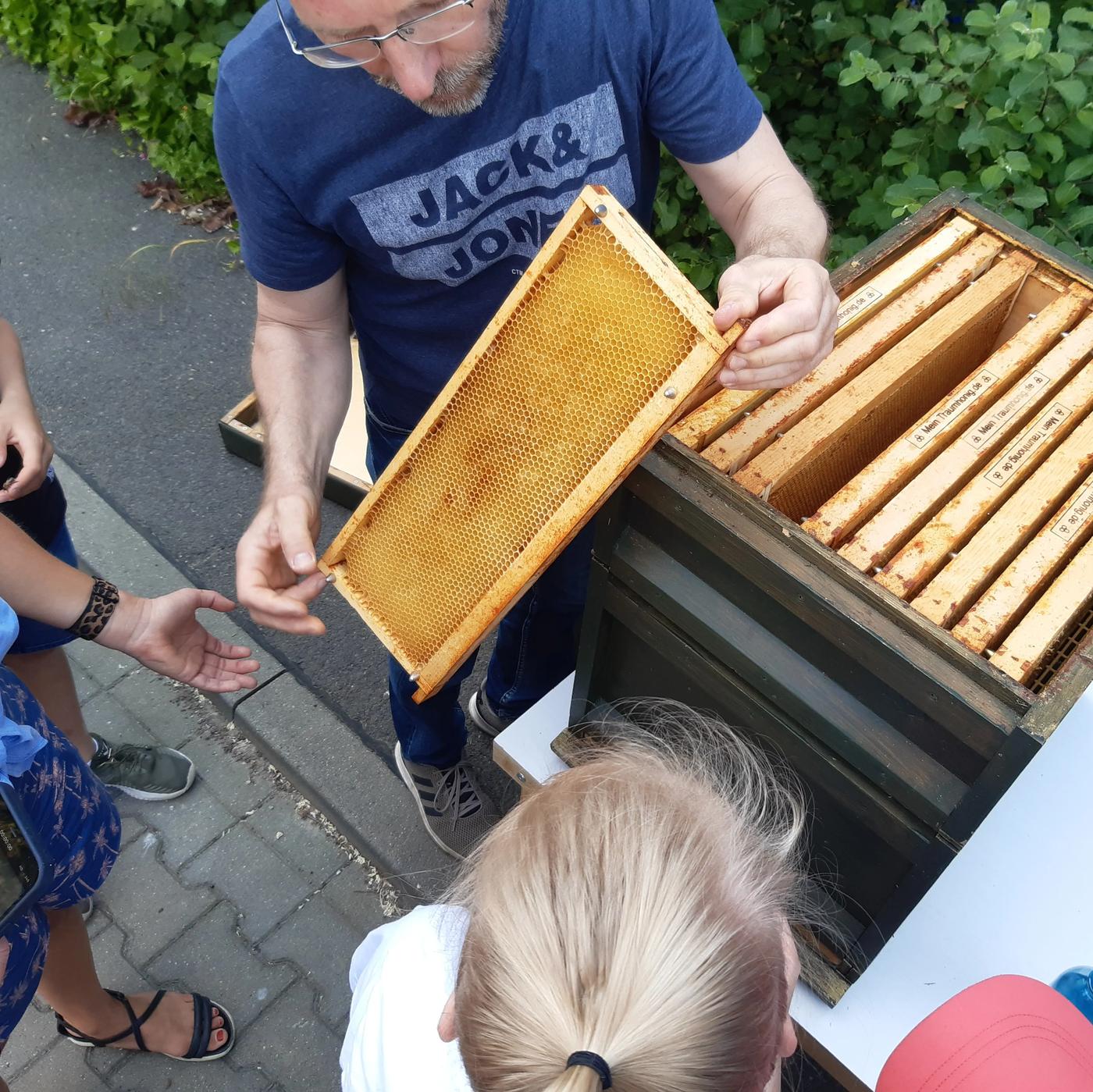 Alles über Bienen und Honig