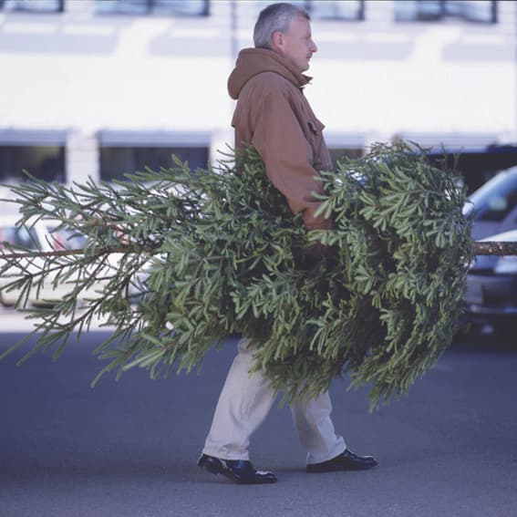 Weihnachtsbaum-Verkauf (kostenpflichtig)