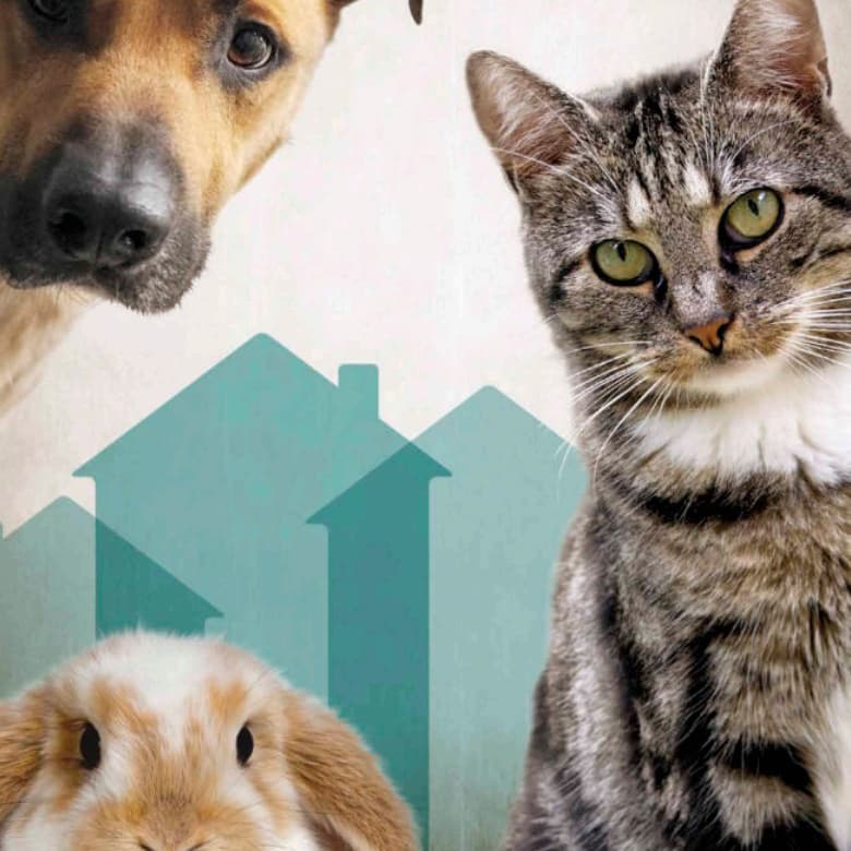 Blick hinter die Kulissen: Führung Tierheim Bremen