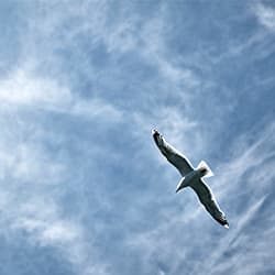 IKEA Family trifft Therme Erding