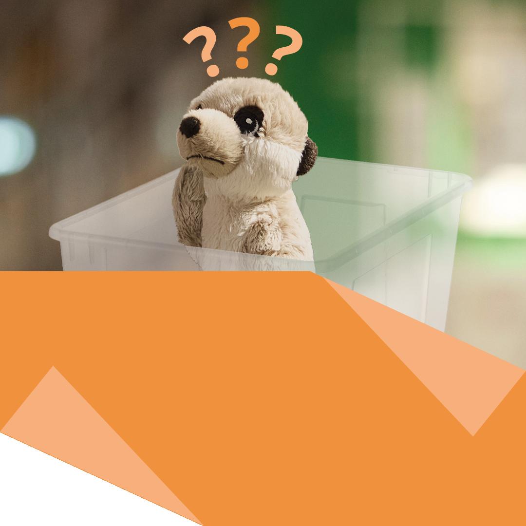 Wie viele Süßigkeiten passen in die SAMLA Box?