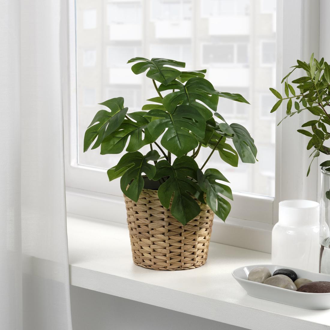 Offer of the Week - IKEA Etobicoke Exclusive!