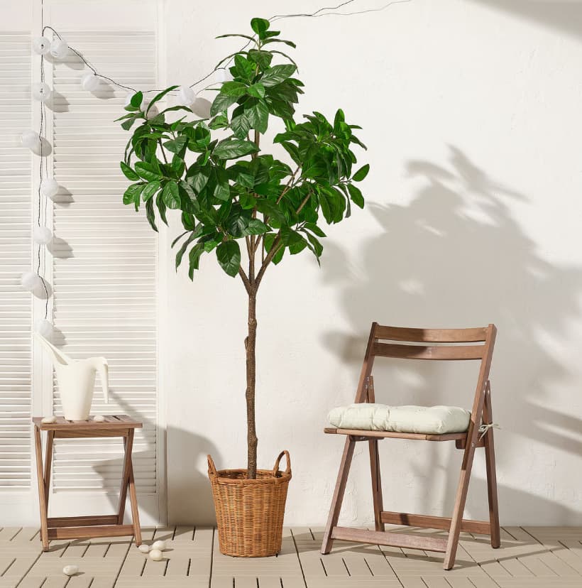 Weekly offer! Only at your IKEA Burlington store.